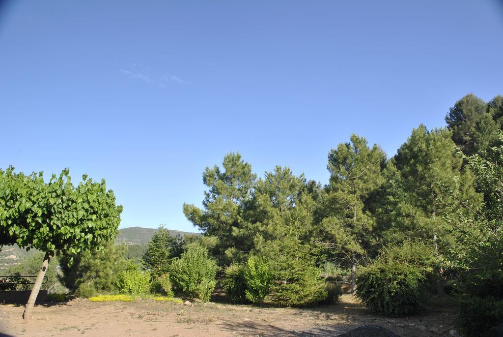 Hostal El Violi Cardona Bagian luar foto